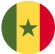 senegal flag image